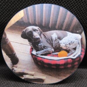 Gina's dog – 2.25 in (58mm) button