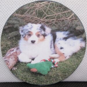 Sadie dog – 2.25 in (58mm) button